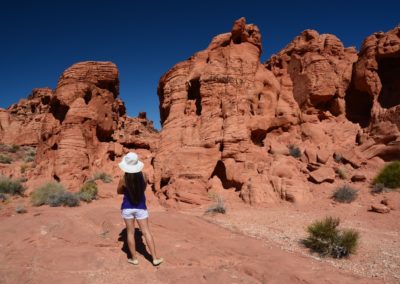 Amazed by these Rock Formation at Valley of Fire, Nevadathe