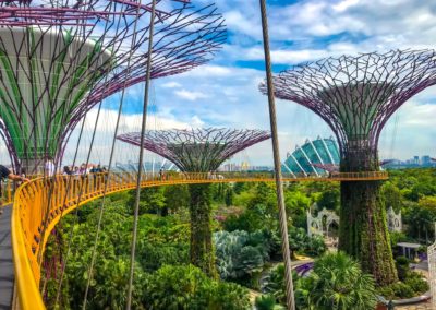 Thrilling Experience at Gardens By The Bay