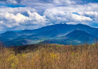 Great Smoky Mountains Vivshane Hike