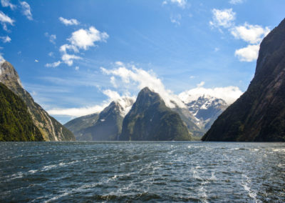 Relaxing Nature Cruise at Milford Sound Vivshane Journeys