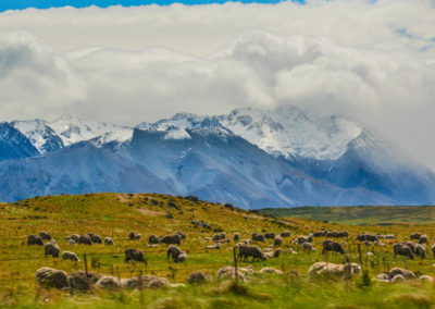 Astonishing Mt. Cook Ranges View