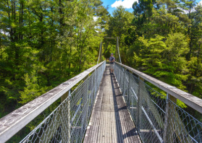 Going through Pelorus Suspension Bridge New Zealand Vivshane Adventures