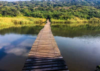 Eyeshot Beachwood Mangroves Boardwlk South Africa Travel Vivshane Adventures