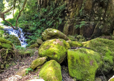 Vivshane Hiking Trail Adventure to Blue Grotto