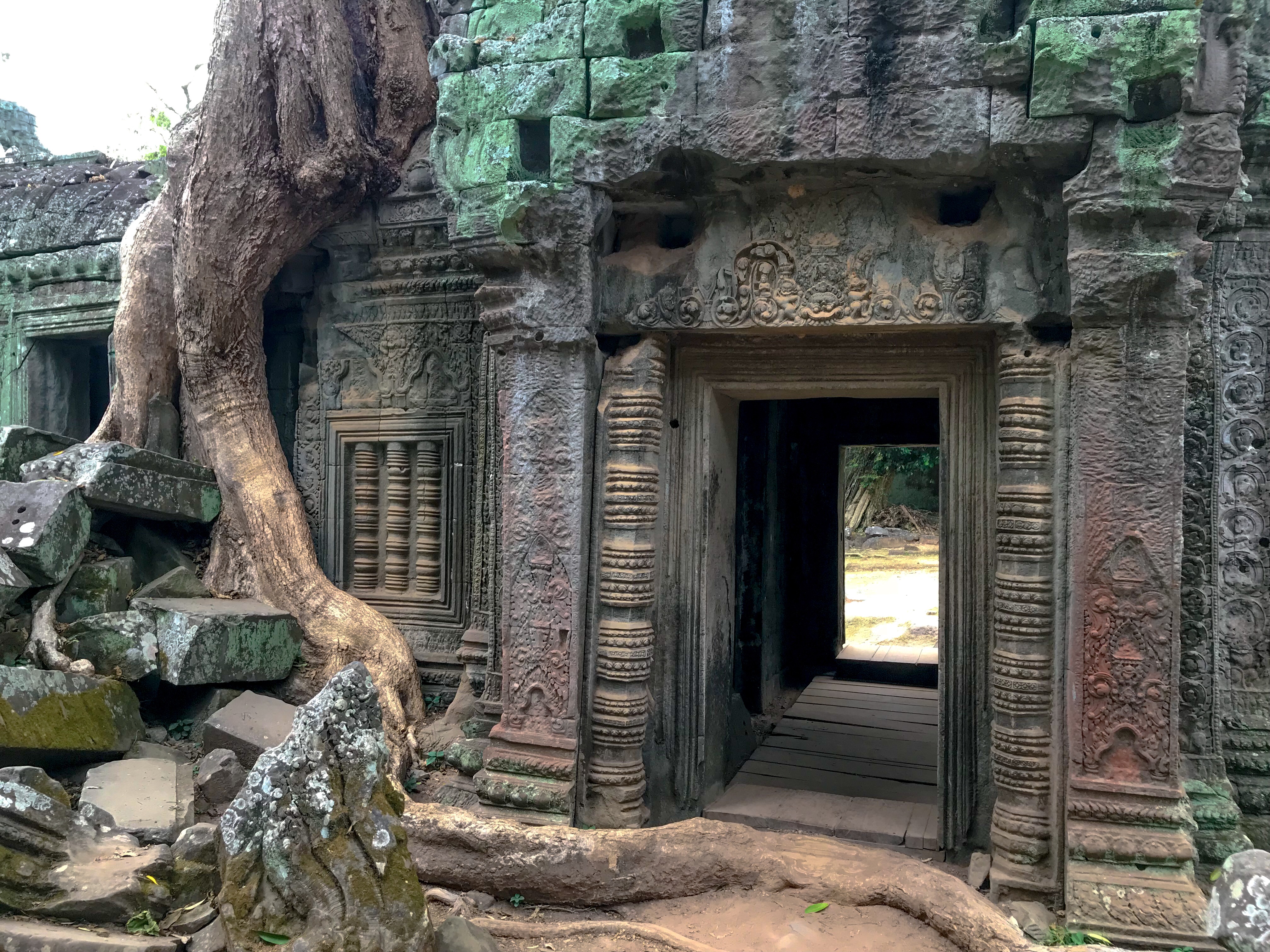 Ancient Ruin and Trees- Ta Prohm
