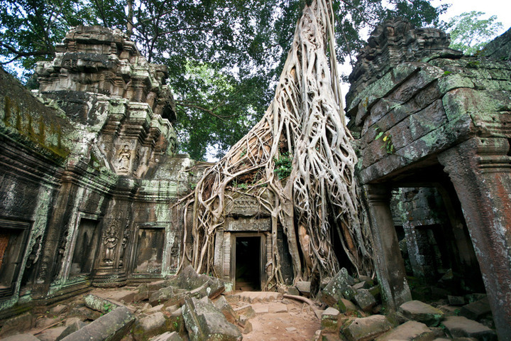 Ta Prohm